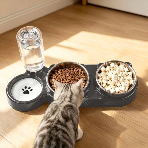 3 in 1 Cat Bowl, Cat Food and Water Bowl Set, Stainless Steel Cat Food Bowls Elevated with Tilted Design, 2 Pet Dish & Automatic Water Dispenser Feeding Station, Small or Medium Sized Dogs