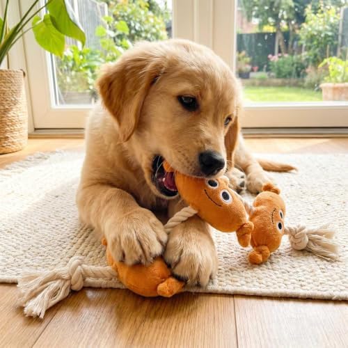 Orange Sausage Dog Rope Toy, Squeaky Plush Tug for Small Medium Dogs
