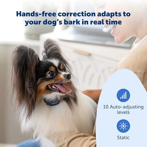 PetSafe NanoBark 2.0 Bark Collar for Small Dogs | 10 Static Levels, Responds Only To Your Dog's Bark, Up To 7-Day Battery, Rechargeable, Waterproof, Dogs 8 lb+, Neck 4-15 in