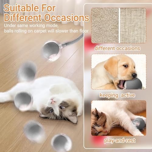 360° Interactive Dog Cat Toys Balls(Grey, one Size)