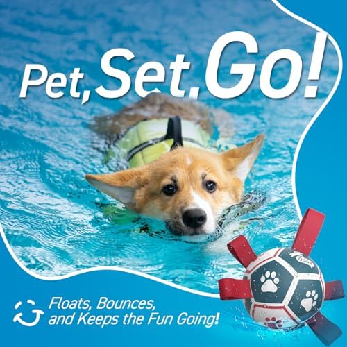 QDAN Small Dog Toys, Outdoor Indoor Toys to Keep Them Busy, Dog Soccer Ball