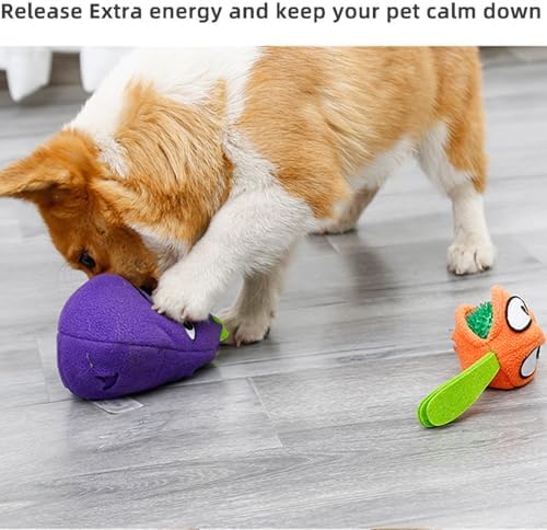 AWOOF 3 in 1 Squeaky Soft Plush Dog Chew Toy, Interactive Dog Toys