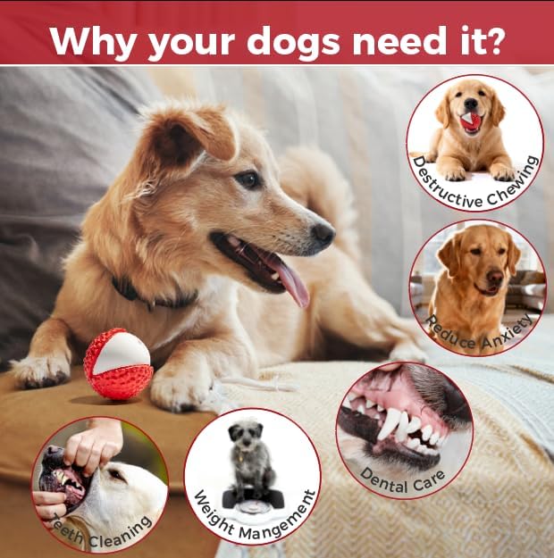 MewaJump Dog Toys Ball Pet Squeaky Toys, Interactive and Trainning Durable Chew Toys for Fetching Games for Agressive Chewer(Lychee)