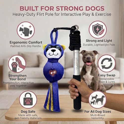 Flirt Pole for Dog Heavy Duty 35 Inch Teaser Wand with Raccoon Toy
