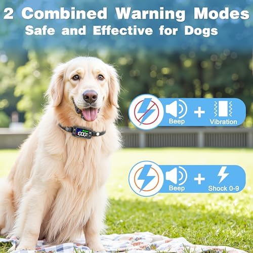 GPS Wireless Dog Fence System, Rechargeable Electric Fence for Dogs, IPX6 Waterproof Collar, Adjustable Warning, 33Yd-1000Yd Range, Pet Safe Outdoor Containment for Most Breeds