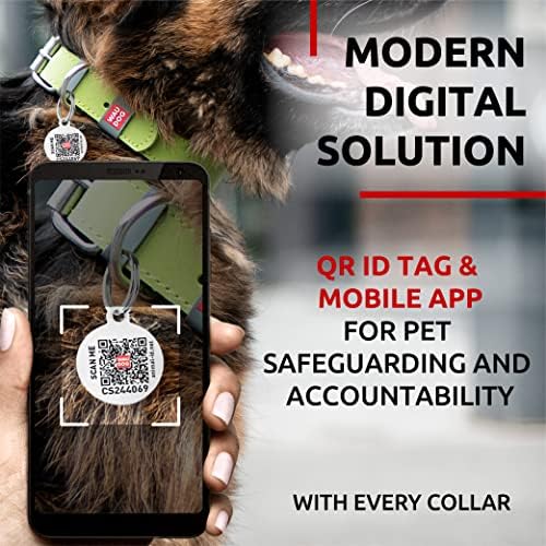 WAUDOG Genuine Leather Dog Collar Adjustable Large Medium Small QR Code Tag