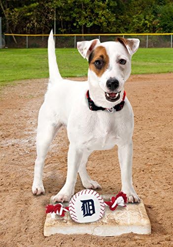 Pets First MLB Detroit Tigers Baseball Rope Toy for Dogs & Cats. Tough Nylon, Sporty Baseball Design, Heavy-Duty Ropes with Inner Squeaker