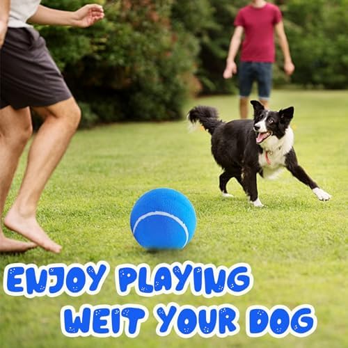 Banfeng Big Tennis Ball for Dogs, Giant Dog Tennis Ball Toy Large Outdoor Sports Gift for Small Medium Large Dog (Blue, 9.5 inch)