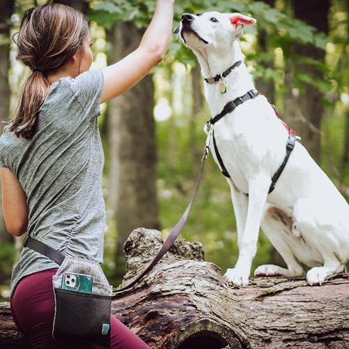 Blue-9 Inspire Dog Training Treat Pouch, Convenient Storage and Easy Access for Treats