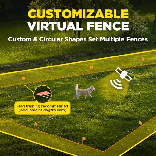 Dogtra Training Flags for GPS Fence/SMART Fence – 50-Pack Neon Orange Boundary Markers – Flexible, Weather-Resistant Yard Flags for Wireless Fence Training, Pet Containment, Safe Outdoor Setup