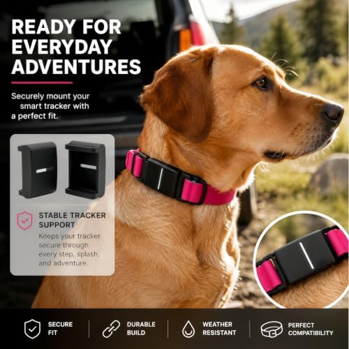 Adapter Compatible with fi Series 3/3+ Dog Collar, Smart Tracker Collar Holder with Secure Fit, Low Profile GPS Tracker Attachment for Everyday Walking Hiking Training