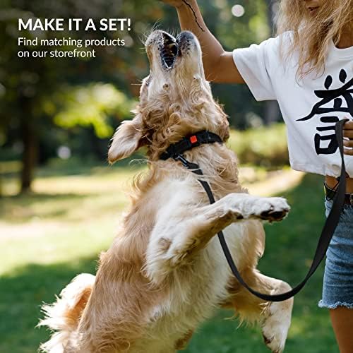 Reflective Dog Collar, Quick-Release Buckle (Black, 10-13 Inch)