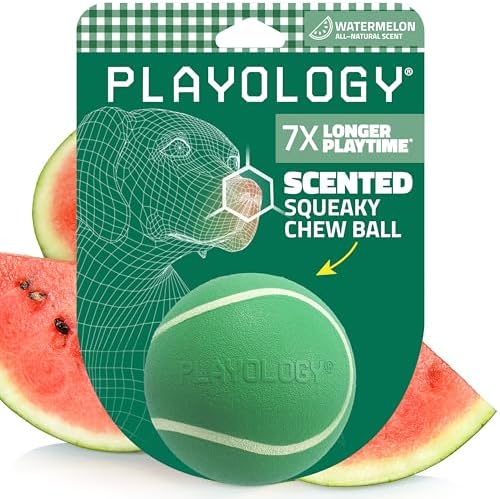 Playology Squeaky Chew Ball Dog Toy - Medium, Watermelon Scent