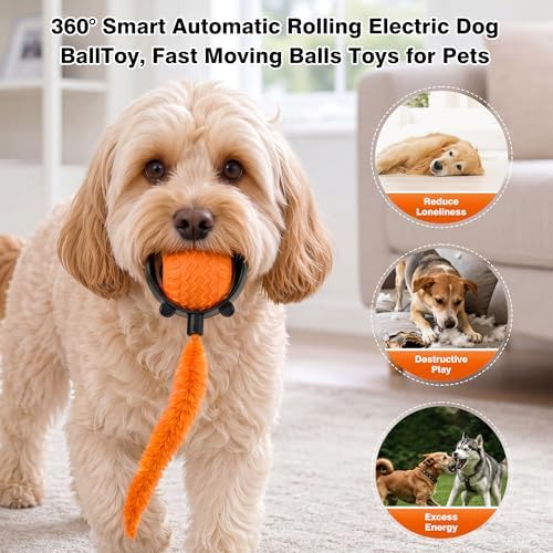 ZUAMEGUCat Toys for Indoor Cats - Interactive Rolling Ball