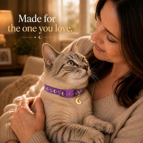 Breakaway Cat Collar with Bell for Kittens & Cats