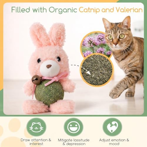 Cat Toys with Catnip Kitten Chew Bite Supplies Boredom Relief Fluffy Kitty Teeth Cleaning Chewing Cat Lovers Interactive Plush Gift (New Rabbit)