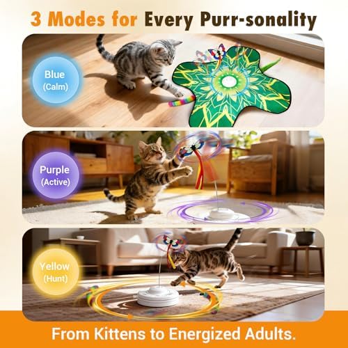 Interactive Indoor Cat Toy, Rechargeable Touch Automatic Hide and Seek Mat