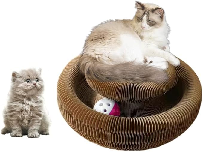 Enkman Kitty kurlz Magic Organ Cat Scratcher Board Cat Ball Adventure The Ultimate Interactive Mental Physical Exercise for Indoor Cats Toy