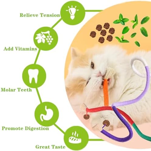 Cat Toys 21PCS Mix Catnip Chew Rope Silvervine Stick for Indoor Cat