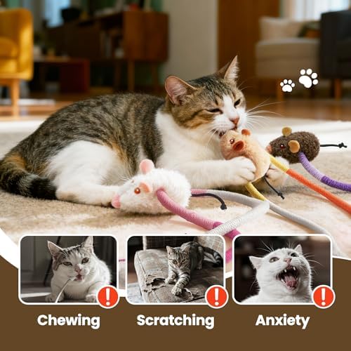 Cat Chew Ropes with Catnip Mouse, 3Pcs Cat Chew Toys for Large Cats Enrichment, 3-in-1 Catnip Toys Mouse & Strong Braided Ropes & Gall Fruits, Cats Teething Toys
