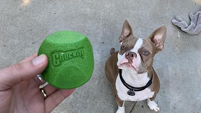 Chuckit! Fetch Pack Dog Ball Dog Toys, Medium (2.5 Inch), for Medium Breeds, Includes Erratic, Strato and Ultra Squeaker Balls, 3 Count (Pack of 12)