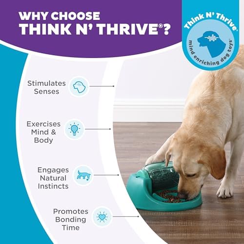 Outward Hound Nina Ottosson Spin N' Eat Dog Puzzle Toy & Slow Feeder, 11.6"