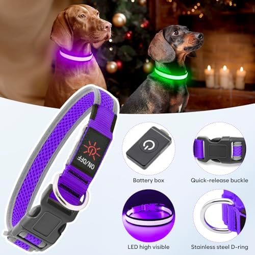 Flashseen LED Light Up Dog Collar, USB Rechargeable, Purple, L