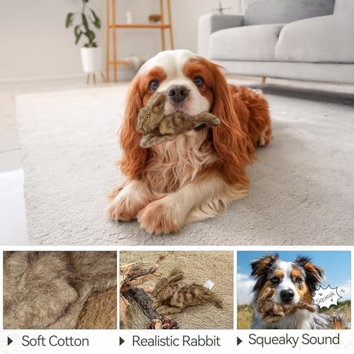 ALL FOR PAWS Classic Rabbit Squeaky Doy Toy, Bunny Dog Toy for Small Medium Breed, Puppy Fetch Toy with Squeaker, Plush Chew Dog Toy, Brown Rabbit -Small Size