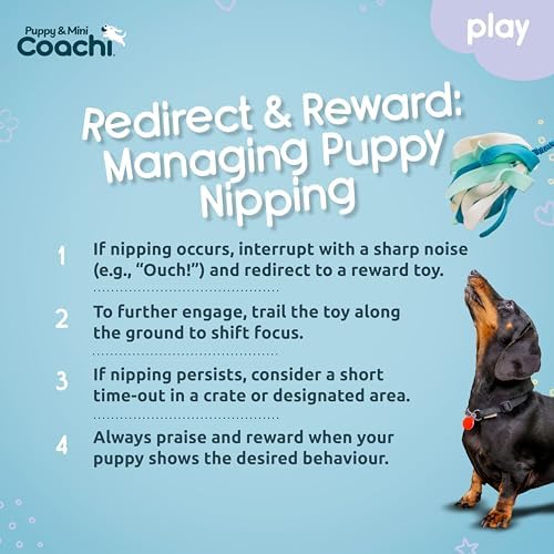 Coachi Puppy & Mini Tuggi Spider - Dog Toy for Tug of War & Play