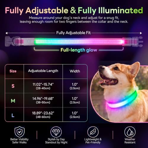Multicolor LED Dog Collar USB-C Rechargeable, Light Up Dog Collar, Rainbow Gradient Glowing Dog Collar with 4 Light Modes, Adjustable Candy Mesh Pet Collar(Pink, Medium)