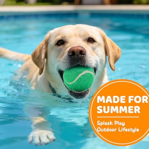 Tennis Balls for Dog 2.5'' Durable Non-Toxic Outdoor Dog Toys Balls with Mesh Bag,Colorful Fetch Toys Balls for Medium Dog (Non Squeaky)