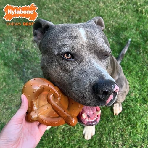Nylabone Power Chew Pretzel Dog Chew Toy, X-Large