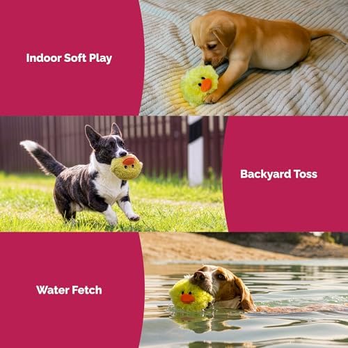 PetLou D.O.G'Z 4-inch EZ Squeaky Chick Dog Plush Toy,Durable Squeaks Bouncy Ball Dog Toy