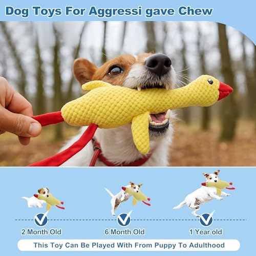Dog Toys for Aggressive Chewers, Goose Chew Toy for Dogs, Squeaker Crinkle Plush Toy, Tough Interactive Dog Chew Toys, Yellow