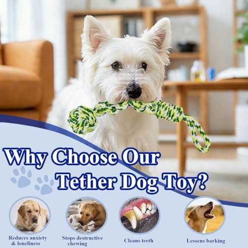 Indoor Suction Cup Dog Toy with 3 Ropes - Adjustable Height Tug Toy for Small to Large Dogs, Interactive Boredom Relief for Solo Play on Tile Floors
