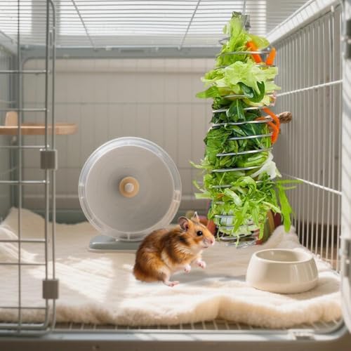 2 Pcs Rat Enrichment Toys - 304 Stainless Steel Rat Foraging Toy, Fruit & Vegetable Holder for Mice, Rats Cage Accessories Hanging Rodent Slow Feeder Puzzle Toy Parakeet Foraging Tool Rats Toys