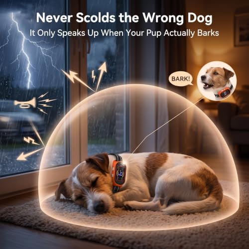Voice Memo Anti Bark Collar, Smart Dog Bark Collar, Orange