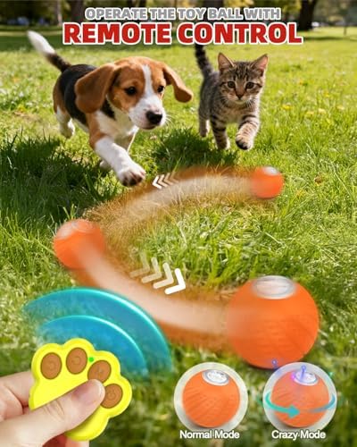 Jovrun Interactive Dog Toys Ball, 2025 Upgraded Remote Control Small Dog Toys, Durable Motion Activated Automatic Dogs Balls for Small Dogs (Orange, with Remote Control)