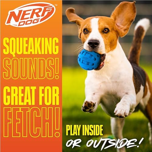 Nerf Dog Rubber Ball Dog Toy with Checkered Squeaker, Lightweight, Durable and Water Resistant, 4 Inch Diameter for Medium/Large Breeds, Single Unit, Blue