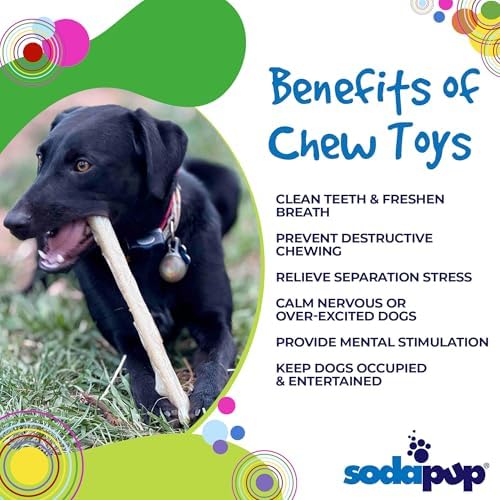 SodaPup Glow in The Dark Chew Stick – Durable Dog Chew Toy Made in USA from Non-Toxic, Pet Safe, Food Safe, Nylon Material for Mental Stimulation, Clean Teeth, Fresh Breath, Calming Nerves, & More