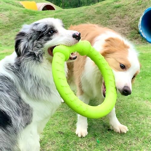 LaRoo Dog Ring Toy, Durable Soft Flying Disc, Thickened, Floatable Pool Toy for Medium Large Dogs, Interactive Tug of War & Fetch Toy for Outdoor Training, Teeth Cleaning & Exercise (Green-11.8inch)