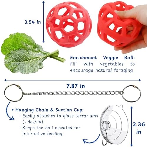 Bearded Dragon Reptile Hammock Enrichment Cage Accessories, Bearded Dragon Feeder Ball and Breathable Mesh Hammock, Lizard Hammocks Lounger Bed Rest and Feed Toy, Reptile Tank Accessories (Red)