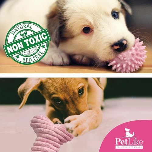 PetLike 8PCS Puppy Teething Toys Set - Interactive Dog Chew Toys with Ball & Cotton Ropes Safe & Durable Teething for Small Puppies (Pink)