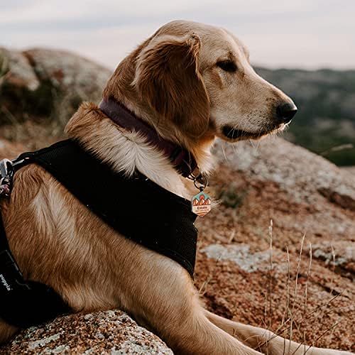 QR Code Dog Tag,Pet ID Tags, Dog Tags Personalized for Pets,Smart Dog ID Tags,Custom Dog Tags-Free Online&Scan QR Receive Instant Location Alert Email