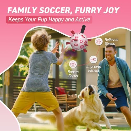 QDAN Valentines Gift Dog Toys, 8 Inch Dog Soccer Ball with Straps, Pink