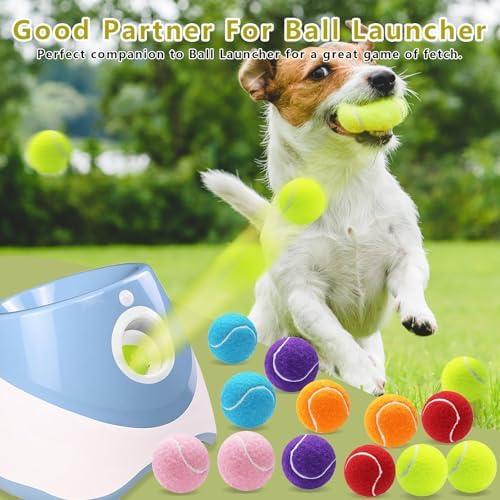 Magicorange Small Tennis Balls, 60 Pack 2 inch Tennis Balls for Dogs