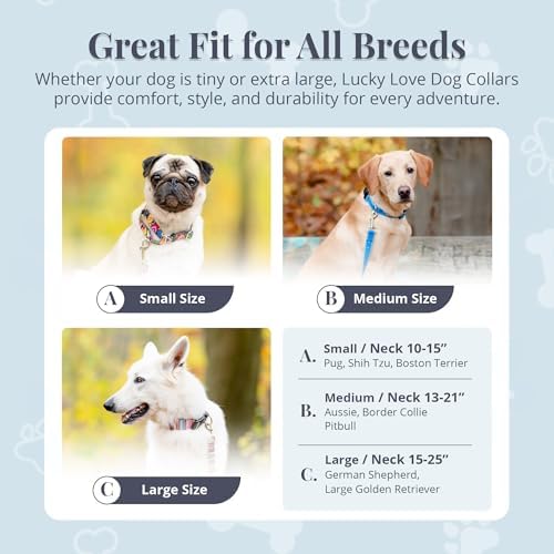 Lucky Love Dog Martingale Collar & Leash Set No Slip Cute – Linus, Small