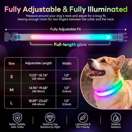 Multicolor LED Dog Collar USB-C Rechargeable, Light Up Dog Collar, Rainbow Gradient Glowing Dog Collar with 4 Light Modes, Adjustable Candy Mesh Pet Collar(Blue, Large)