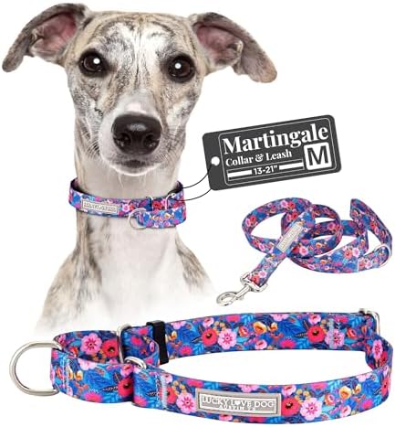 Lucky Love Dog Martingale Collar & Leash Set No Slip Cute – Zuzu, Medium