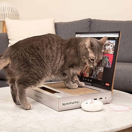 WHAT DO YOU MEME? Paws & Relax Pet Massager